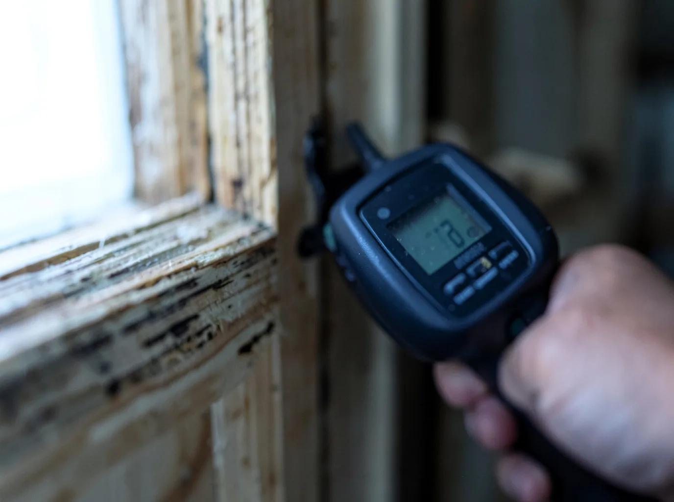 Moisture Inspection And Documentation in Wilmington, NC